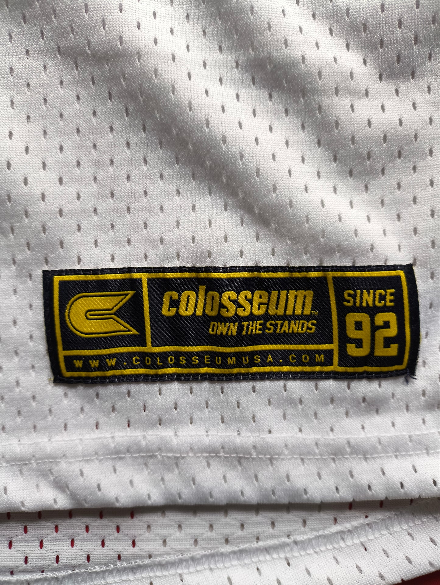 Michigan Wolverines NCAA Jersey L