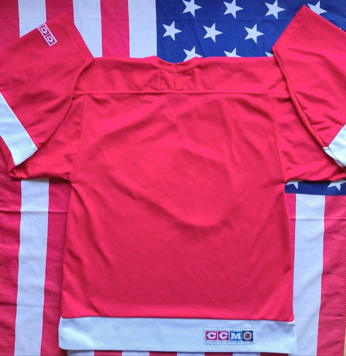 Detroit Red Wings NHL Jersey M