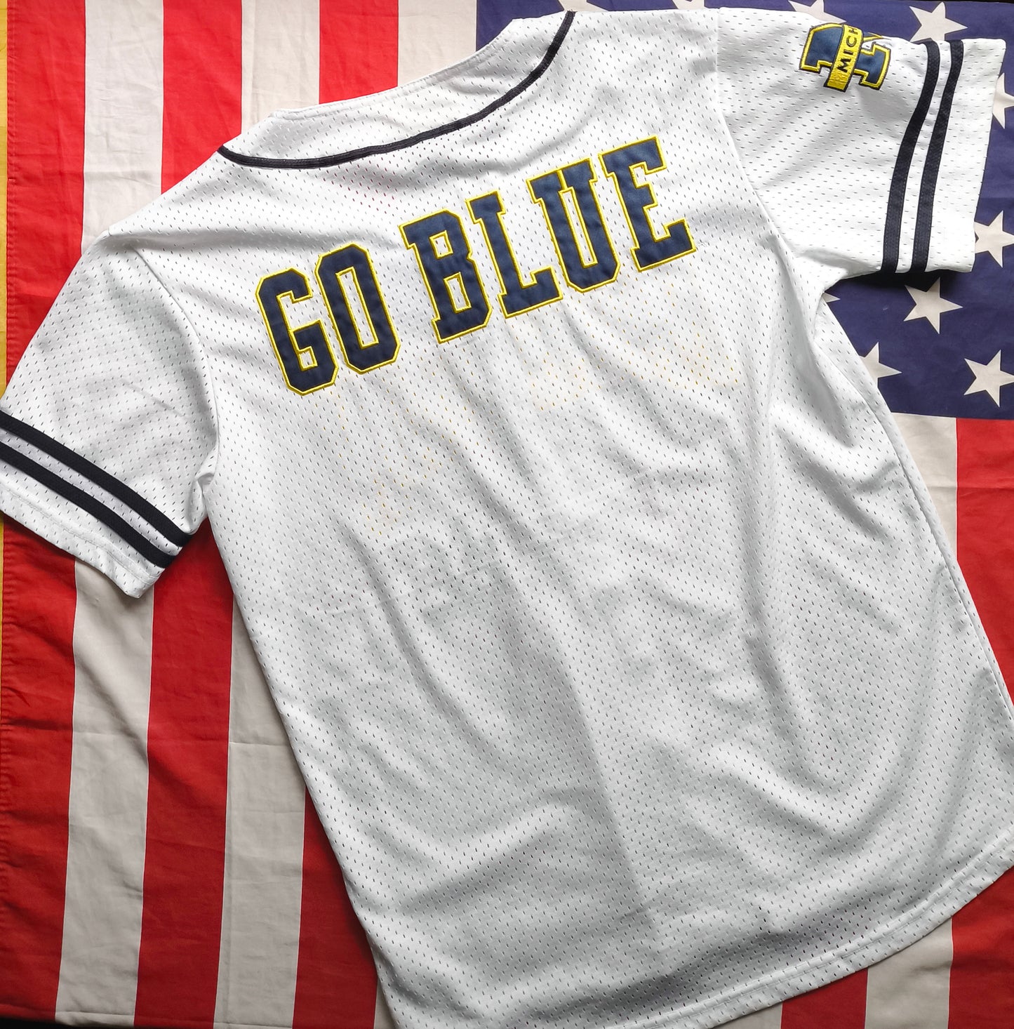 Michigan Wolverines NCAA Jersey L
