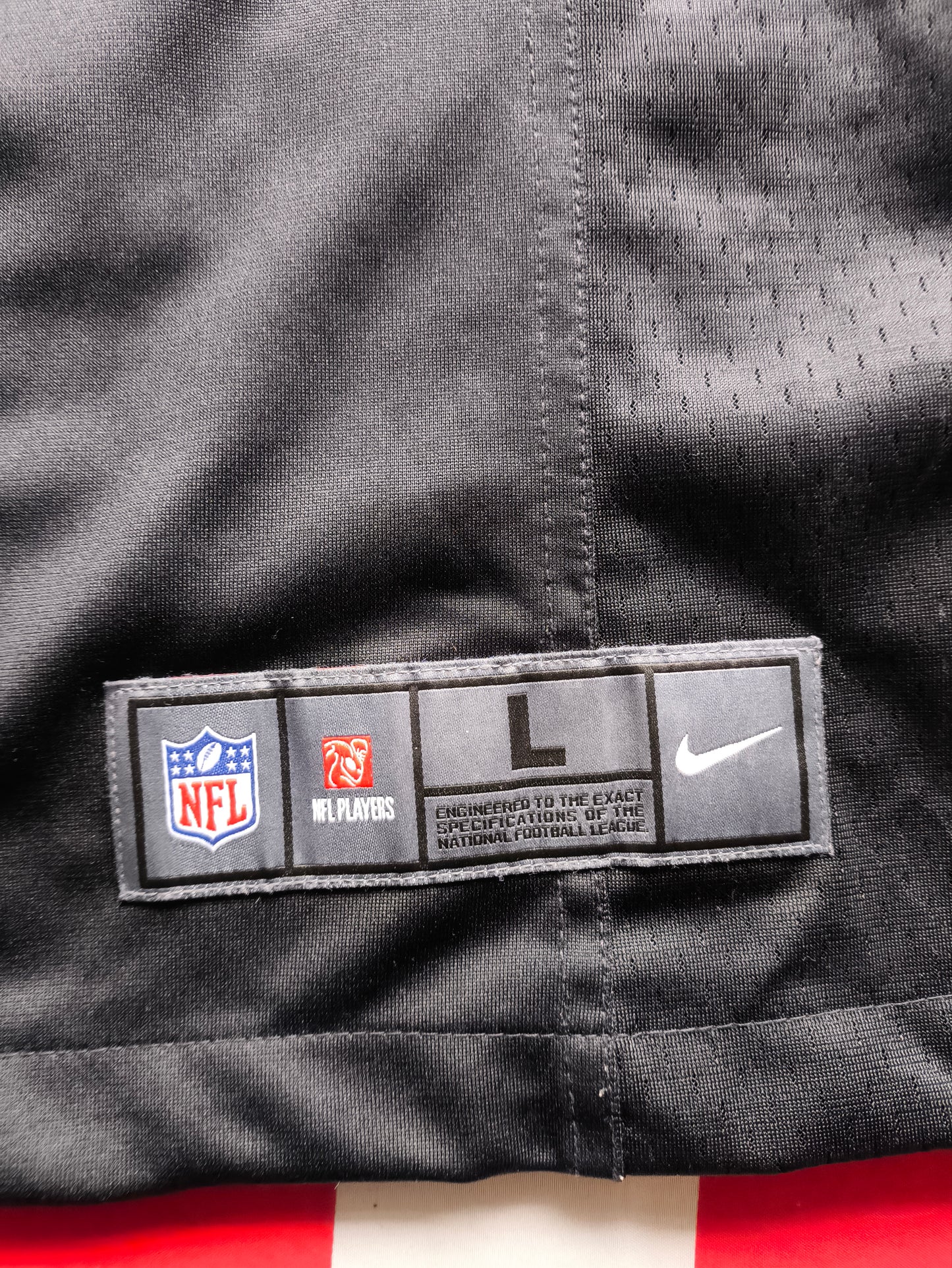 Oakland Las Vegas Raiders NFL Jersey L Carr