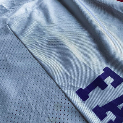 Minnesota Vikings NFL Jersey L Favre