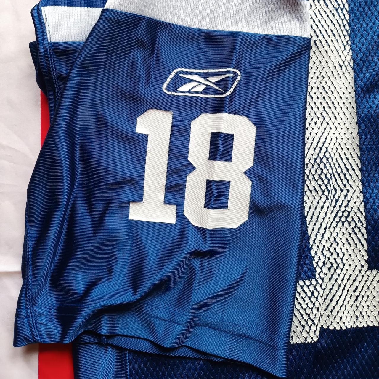 Indianapolis Colts NFL Jersey L Manning
