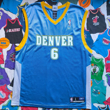 Denver Nugget NBA Jersey L Martin