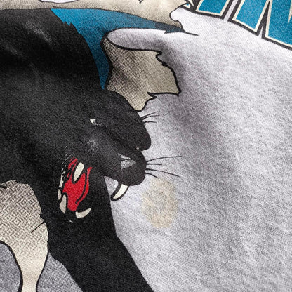 Carolina Panthers NFL Sweatshirt XL
