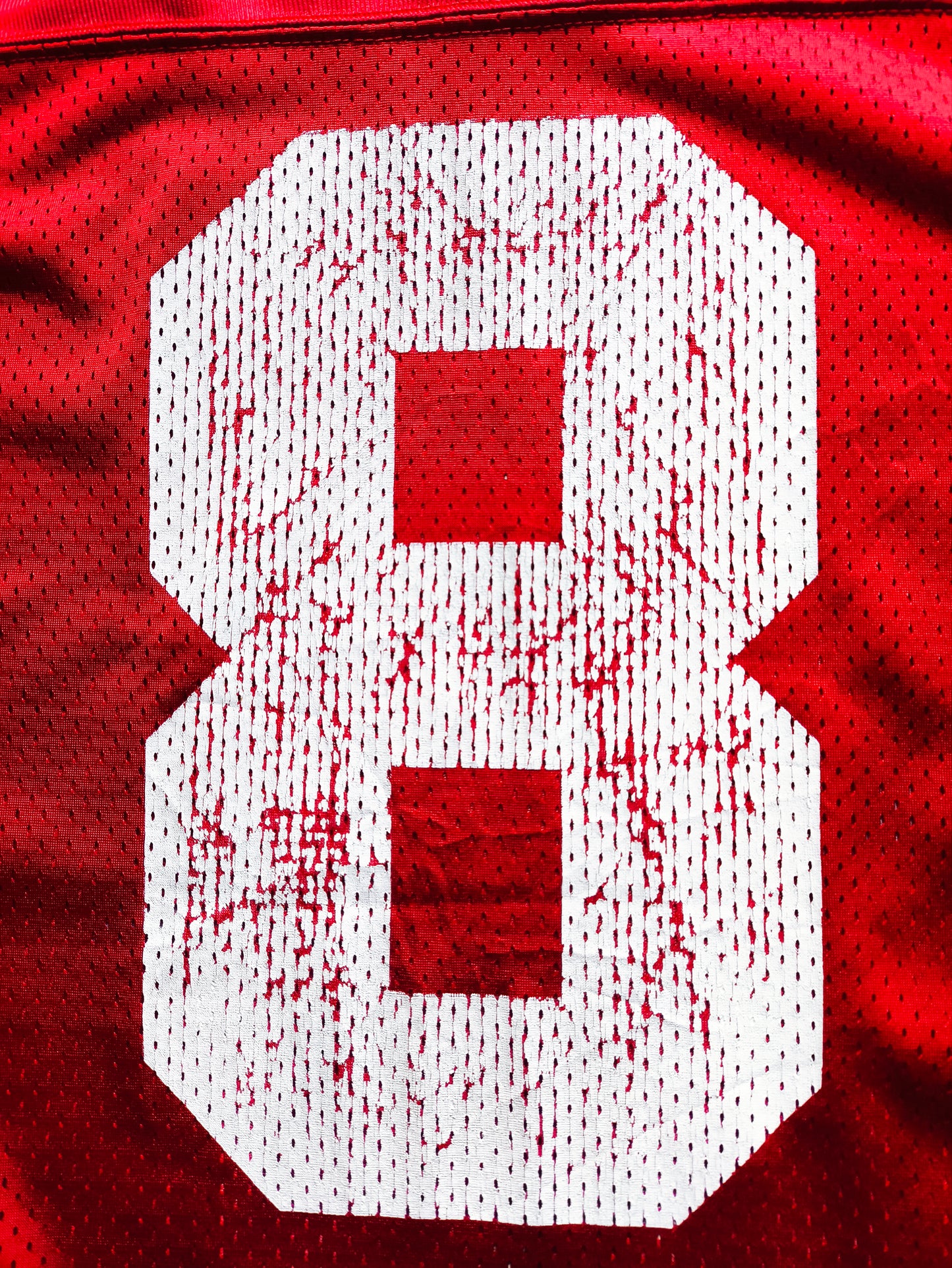 San Francisco 49ers NFL Jersey L Young