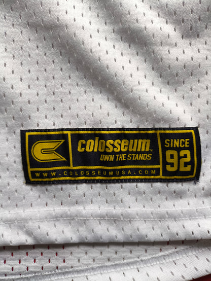 Michigan Wolverines NCAA Jersey L