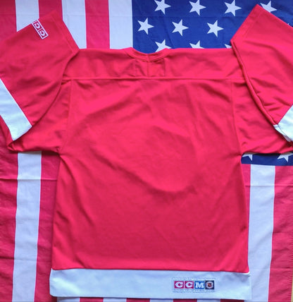 Detroit Red Wings NHL Jersey M