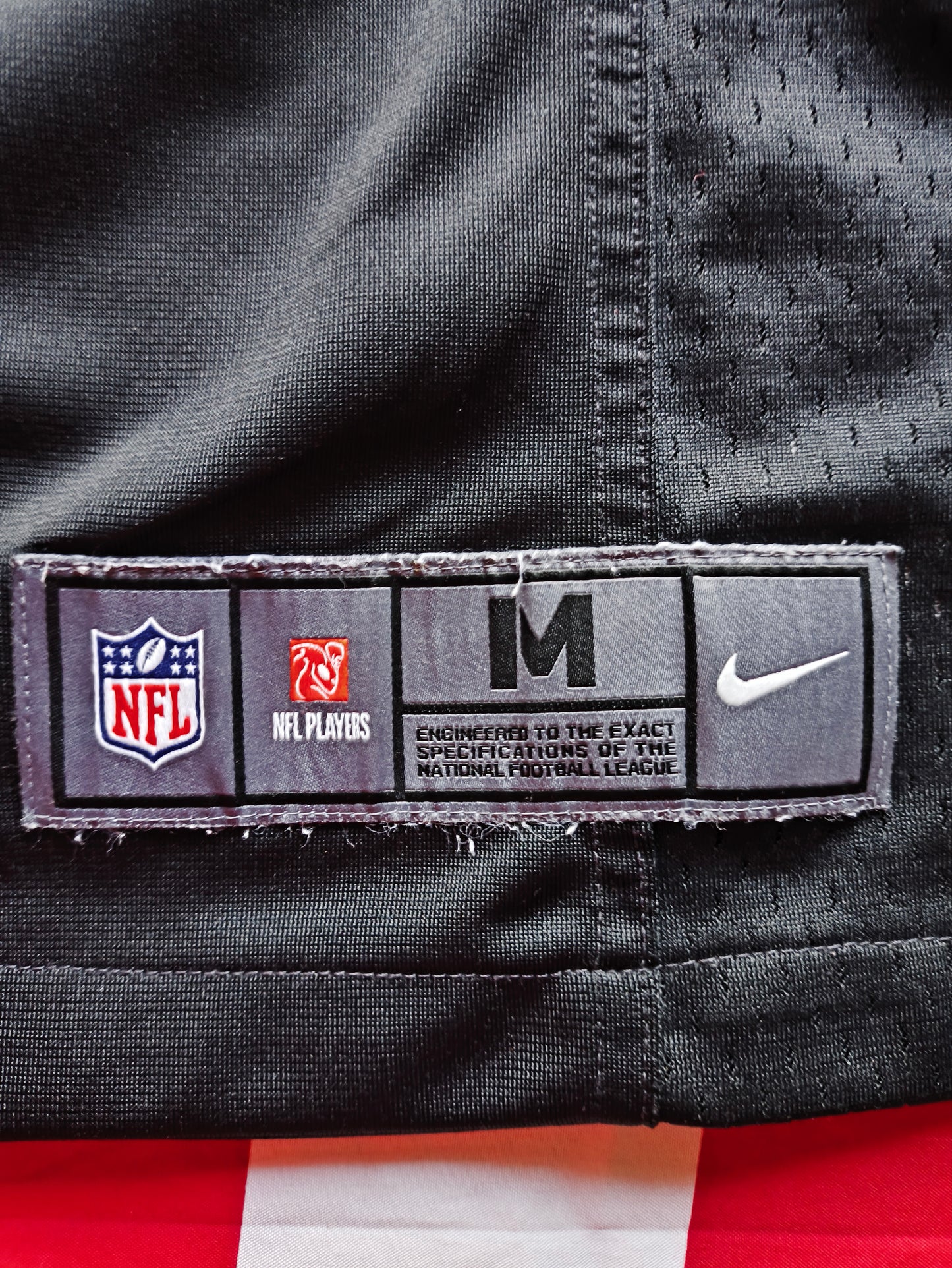 Carolina Panthers Nike NFL Jersey Newton M