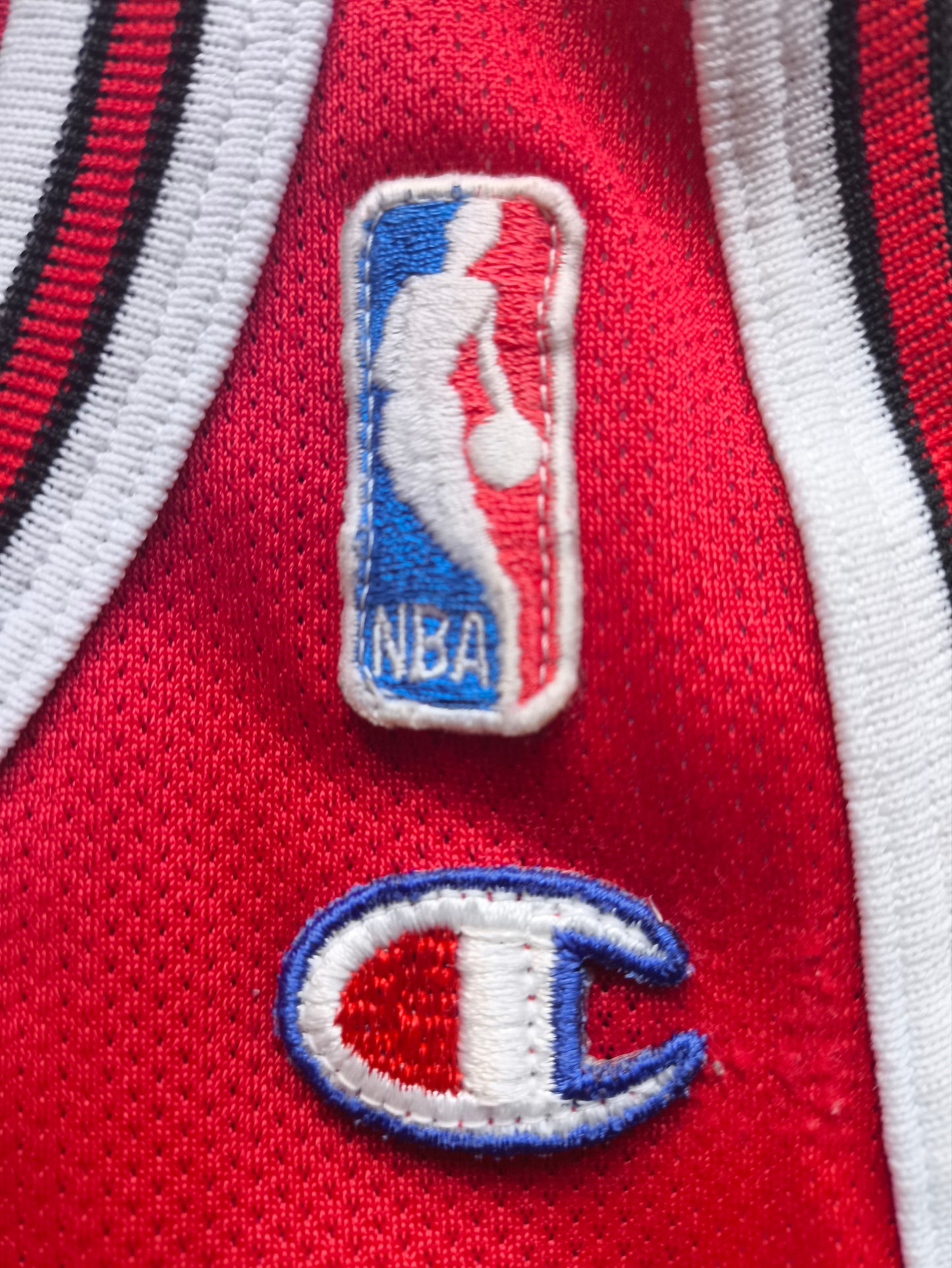 Chicago Bulls Champion NBA Jersey L Jordan