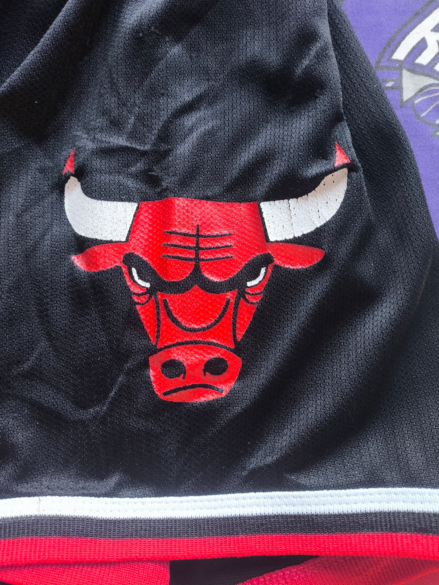 Chicago Bulls Champion NBA Shorts Large