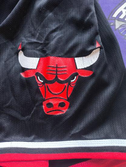 Chicago Bulls Champion NBA Shorts Large