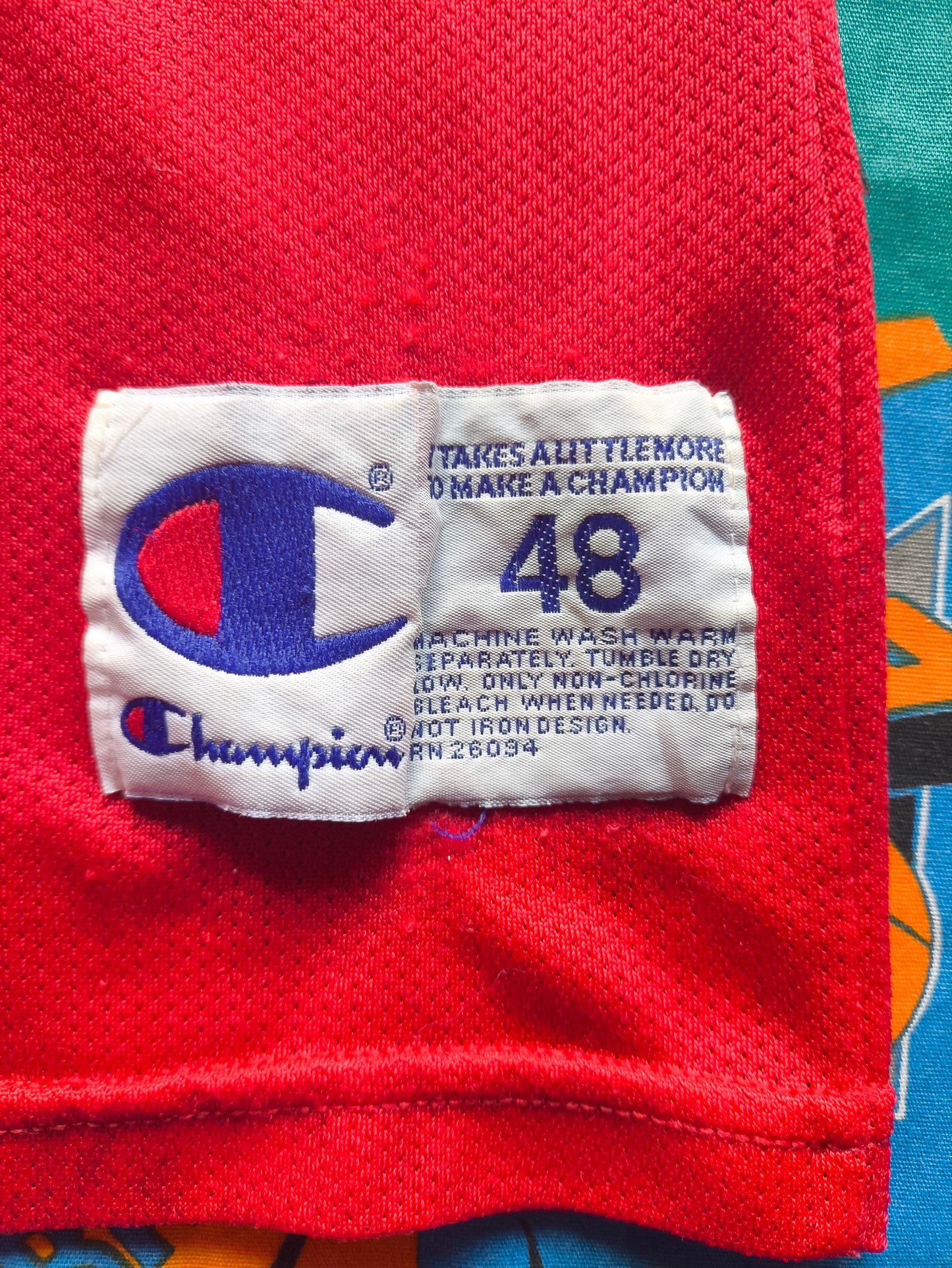 Chicago Bulls Champion NBA Jersey L Jordan