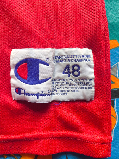 Chicago Bulls Champion NBA Jersey L Jordan