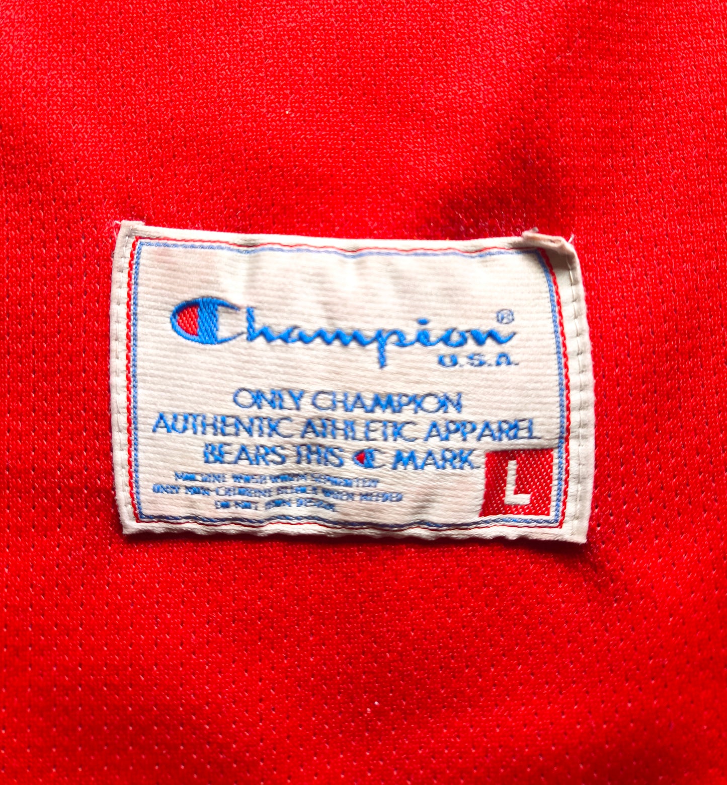 Chicago Bulls Champion NBA Jersey L Pippen