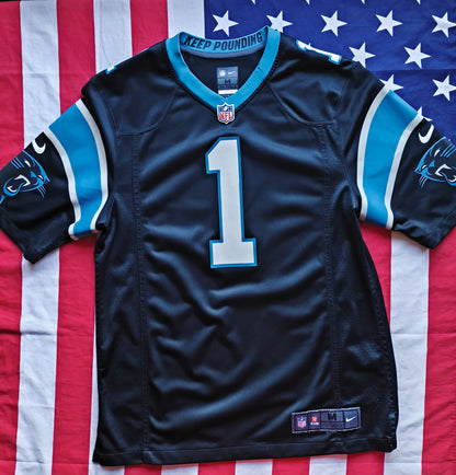 Carolina Panthers Nike NFL Jersey Newton M