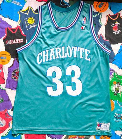 Charlotte Hornets Champion NBA Jersey L Mourning