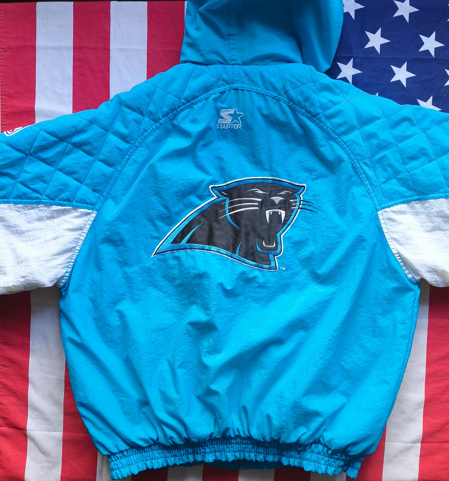 Carolina Panthers NFL Starter Jacket L