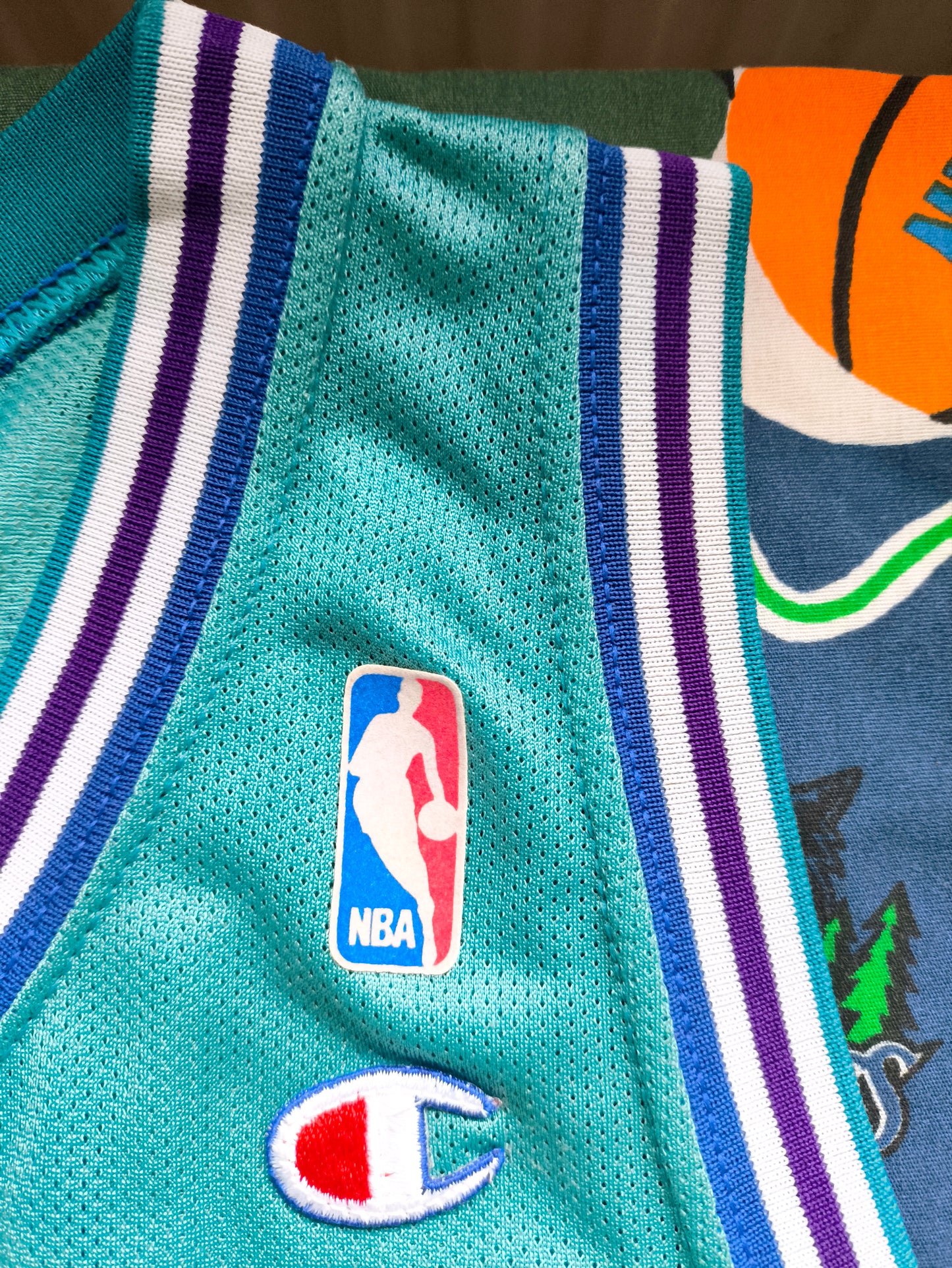 Charlotte Hornets Champion NBA Jersey L Mourning