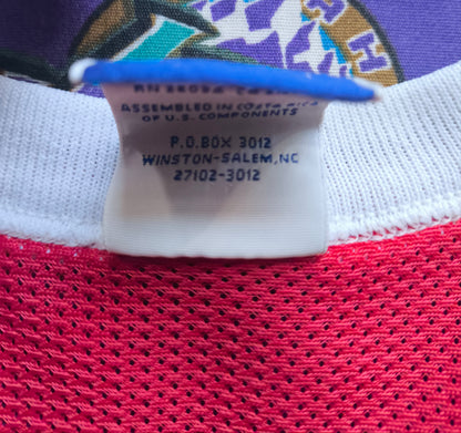 Chicago Bulls Champion NBA Jersey L Jordan