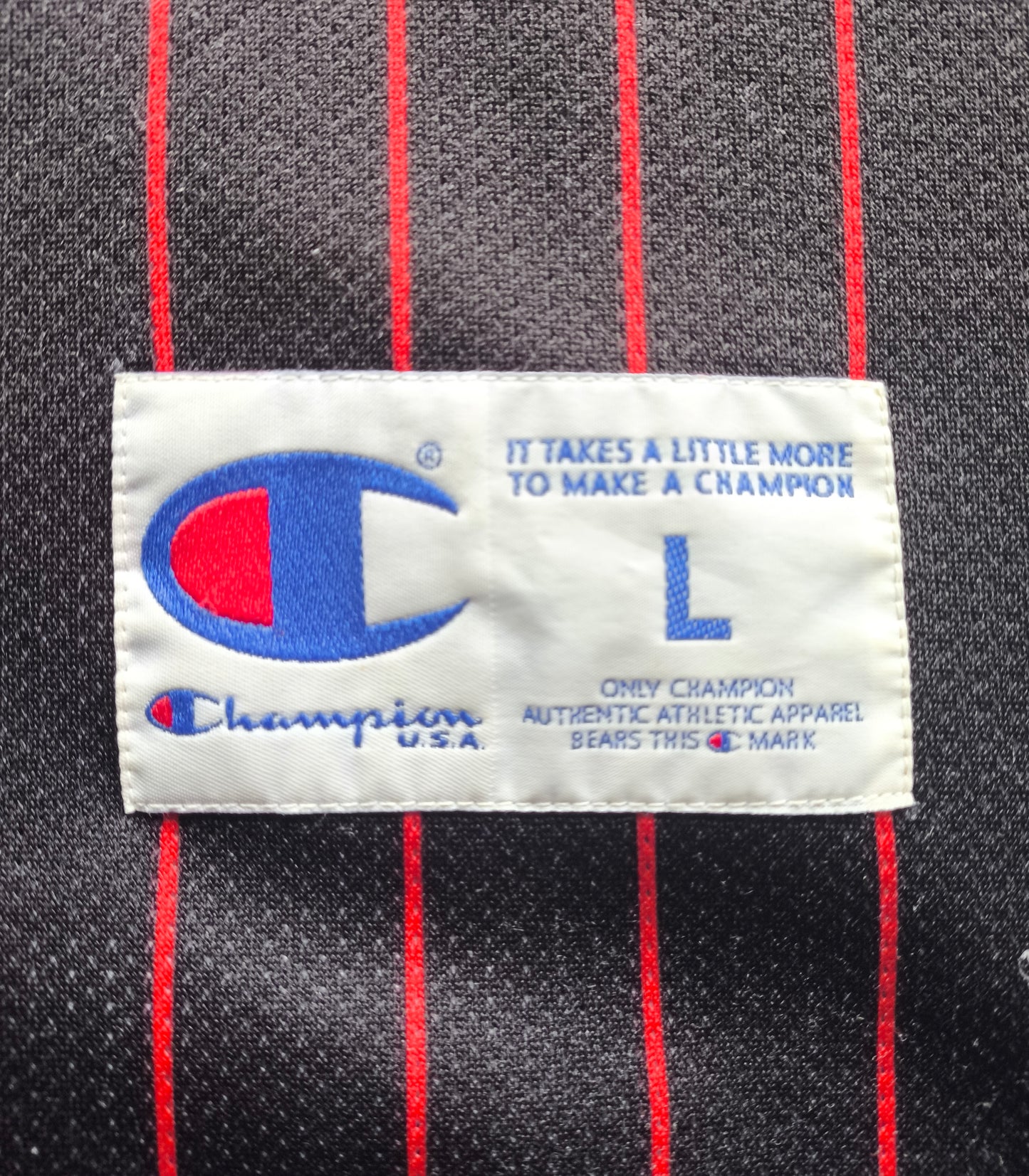 Chicago Bulls Champion NBA Jersey L Pippen