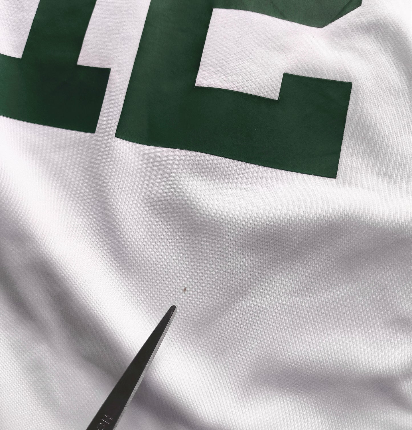 Green Bay Packers Nike NFL Jersey L Rodgers