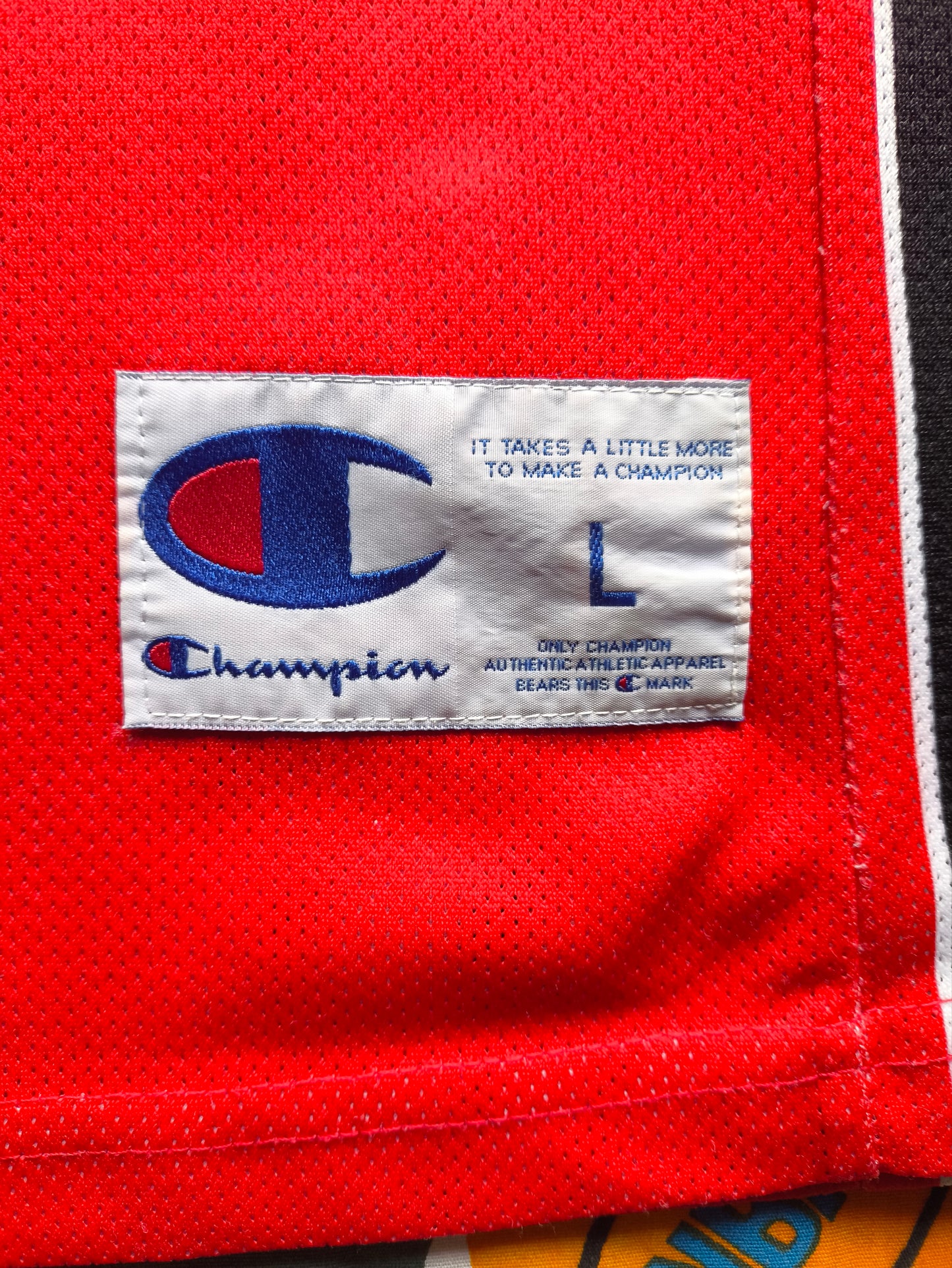 Toronto Raptors Champion NBA Jersey Garbajosa L