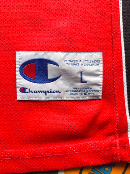 Toronto Raptors Champion NBA Jersey Garbajosa L