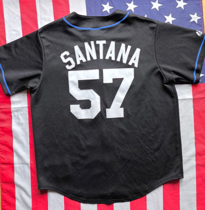New York Mets MLB Jersey L
